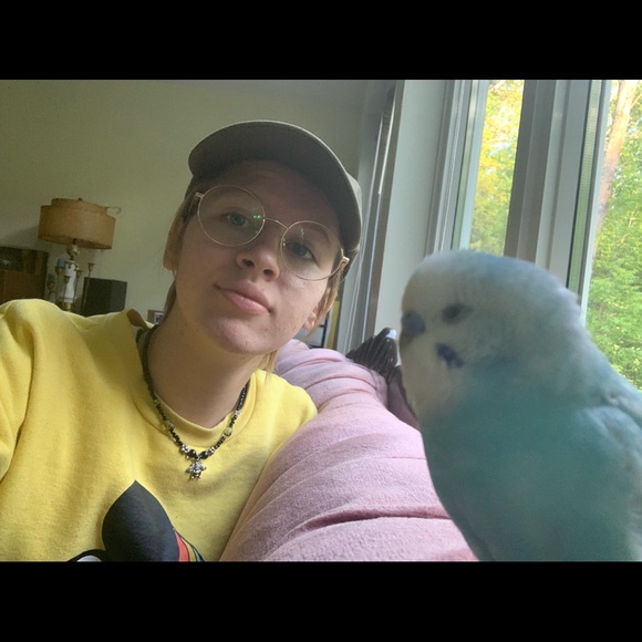 Meet your Posher, Quinn - Picture 1 of 1